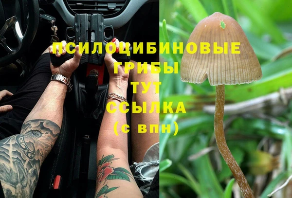 кокаин VHQ Белокуриха